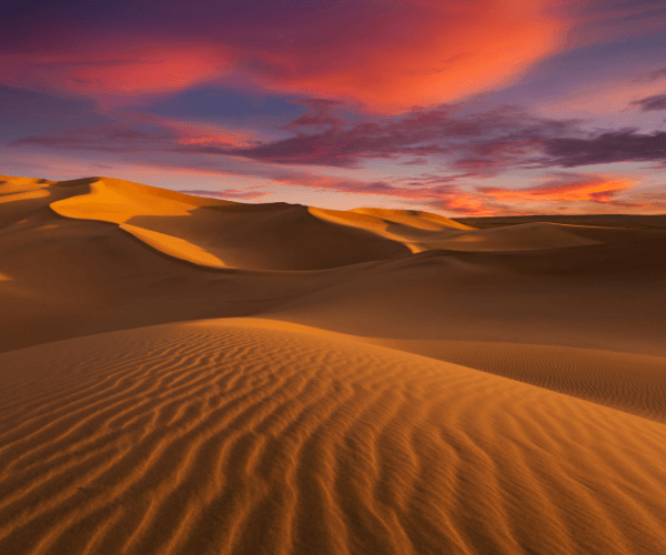 Site EC illustrations de texte 5