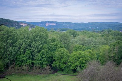 Image0023