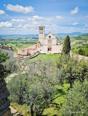 Assise2 8