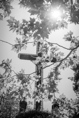 Journée des fiances 38