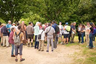 Marche pour les vocations 18