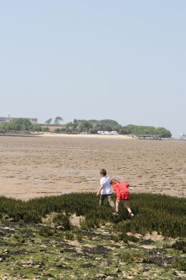 2018 05 05 Pèlerinage Ile Madame (78)