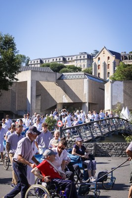 IMG 6975